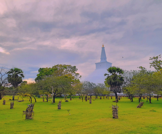 Negombo – Anuradhapura (B)
