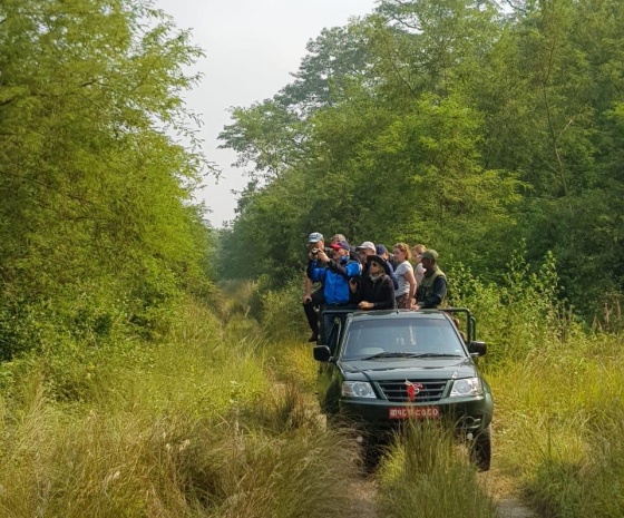 Full day jungle activities at Chitwan National Park (B, L, D)