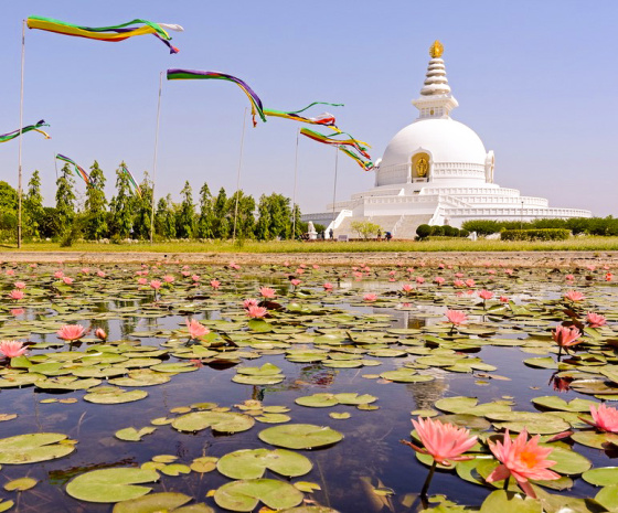 Drive to Lumbini: approx. 205kms & 6-7 hrs drive: Visit Mayadevi Temple & meditate in Bodhi (B)