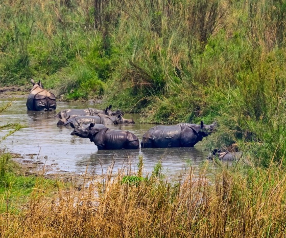 Chitwan-Kathmandu: 175 km & approx. 5-6 hours drive