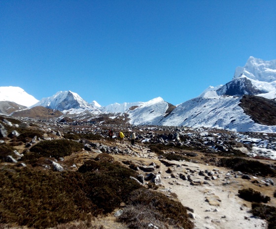 Chukhung to Pangoche (3940m) 4 to 5 hrs walk (B, L, D)