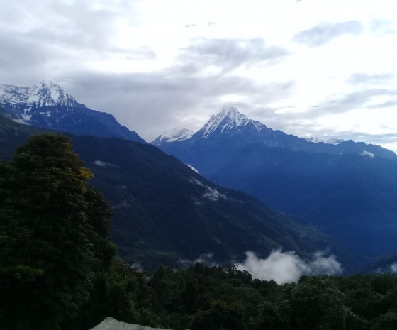 Ghandruk to Chhomrong (2170m): 5 - 6 hours (B, L, D)