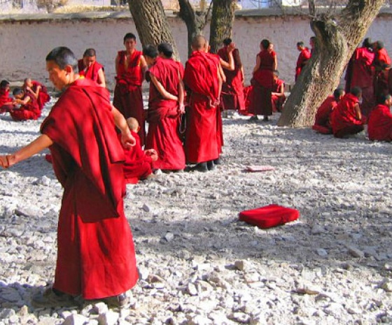 Sightseeing at Lhasa - Jokhang Temple, Sera Monastery and Barkhor Market (B)