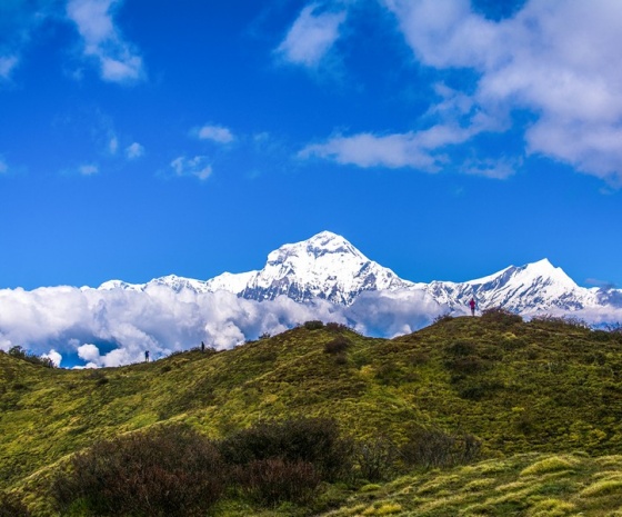 Trek from Dobato - Ghandruk (1940 m)- Trek Duration: 6-7  hours