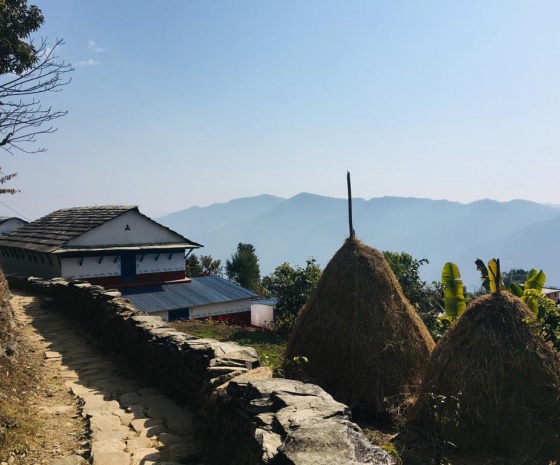 Drive to World Peace Pagoda: Explore & short hike to Kalabang (1344 m altitude): Lunch with family: 90 minutes' drive & 4 hours walk (B, L)