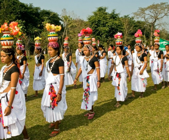 Drive to Chitwan: 155km & approx. 4 hours drive: Go for activities after lunch (B, L, D)