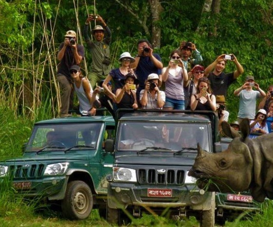 Full day jungle activities at Chitwan National Park (B, L, D)