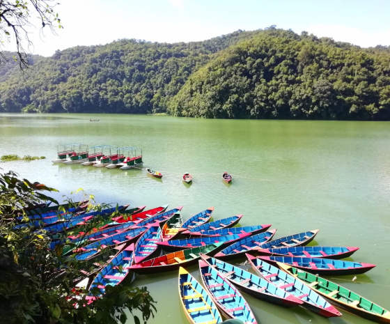 Drive to Pokhara, 80 km & approx. 3 hrs drive: Sightseeing at Pokhara city & Boating at Phewa Lake, 3 hrs (B)