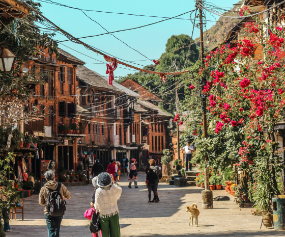 Discovering the charms of Bandipur