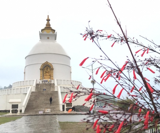 Drive to World Peace Pagoda (25 minutes): Hike to Kalabang (1344m altitude & approx. 3 hours walk): Lunch with a host family 