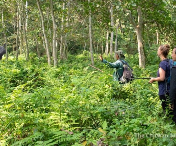 Drive to Chitwan: 150km / Drive duration: 4 hours drive / Go for activities after lunch (B, L, D)