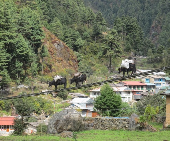 Manjo to Lukla 3-4 hrs walk (B, L, D