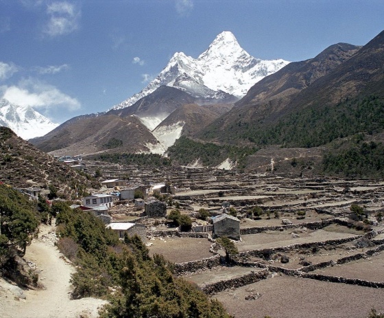 Tangboche- Dingboche - (4,400 m/14,352ft):5 hours walk (B, L, D)