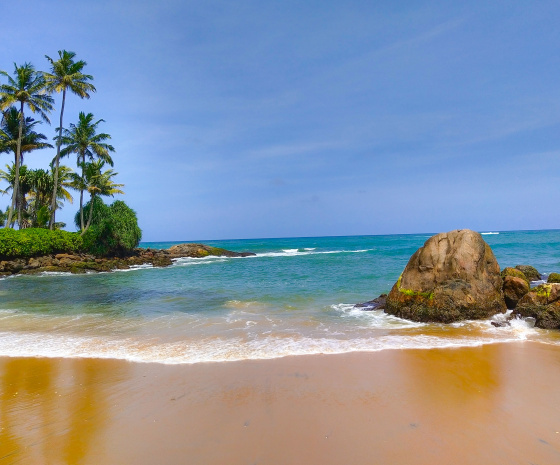 Arrival in Sri Lanka 