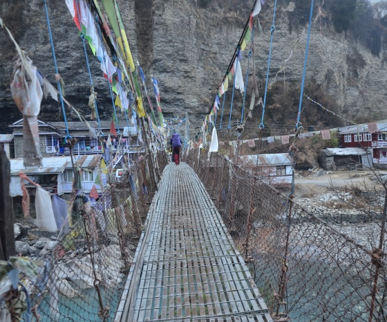 Trek from Pasgaun to Pakhrikot:9-11Km/4-5hours  (B, L, D)