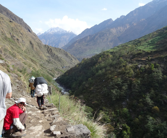 Trek from Pasgaun to Pakhrikot:9-11Km/4-5hours  (B, L, D)