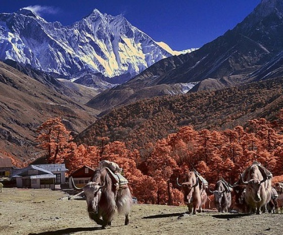 Trekking da Tengboche a Dingboche