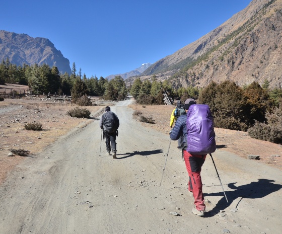 Trek Chame - Pisang (3185m/10450ft) approx. 13kms: 5-6 hours walk (B, L, D)