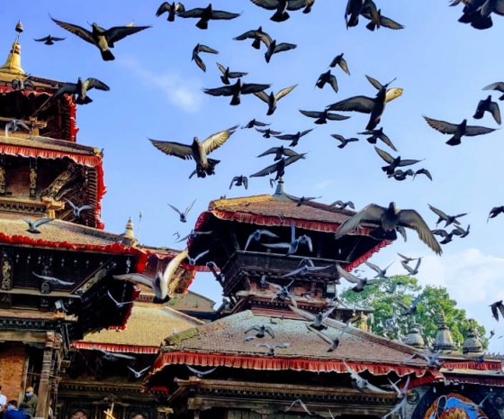 Kathmandu UNESCO Sightseeing Patan & surrounding places and Swayambhunath (B)