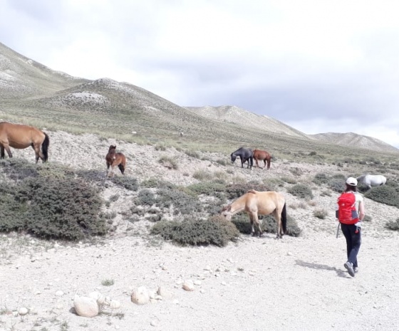 Lo-Manthang to Drakmar [3810 m/12,500ft]: 6-7 hours, 17 km (B, L, D)