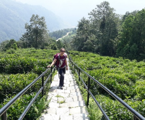 Trek Tadapani to Ghandruk (1940m): Approx. 3-4 Hours walk (B,L,D,)