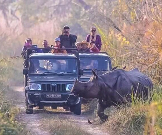 Full day jungle activities at Chitwan National Park (B, L, D)