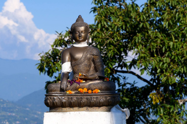Buddha's Path to Wellness