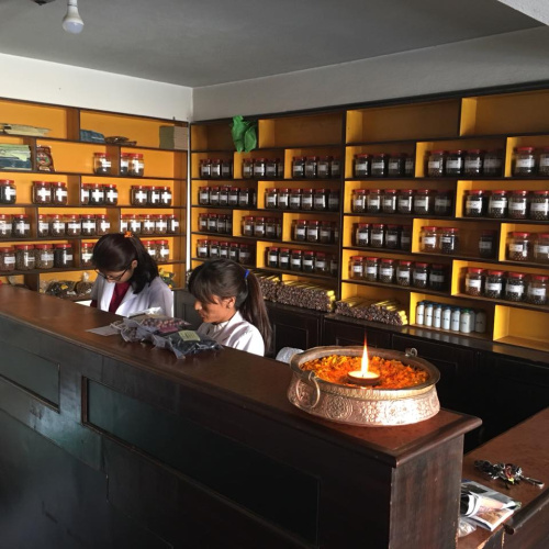 Consultation with Tibetan doctor