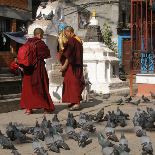 Philosophical session with a monk